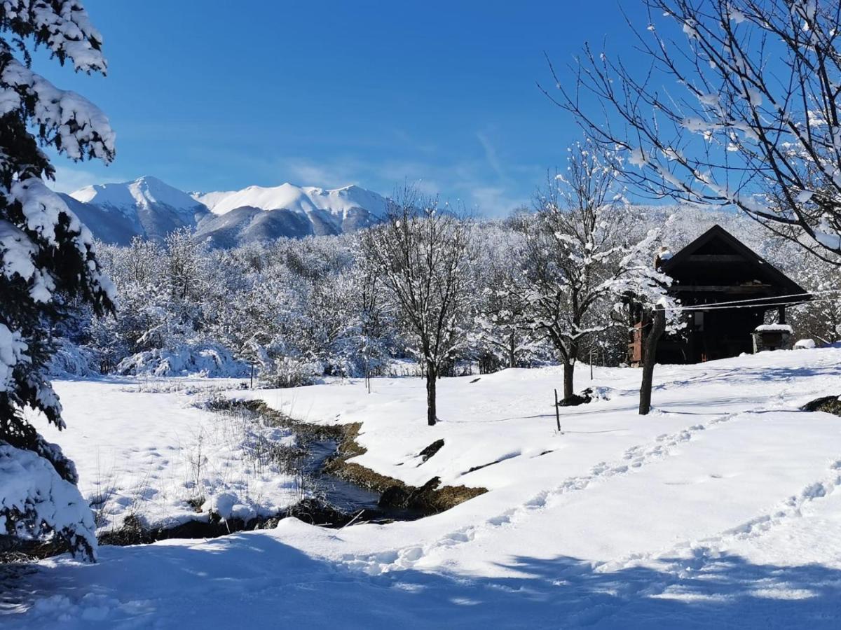 Apartman Sveti Rok Dış mekan fotoğraf