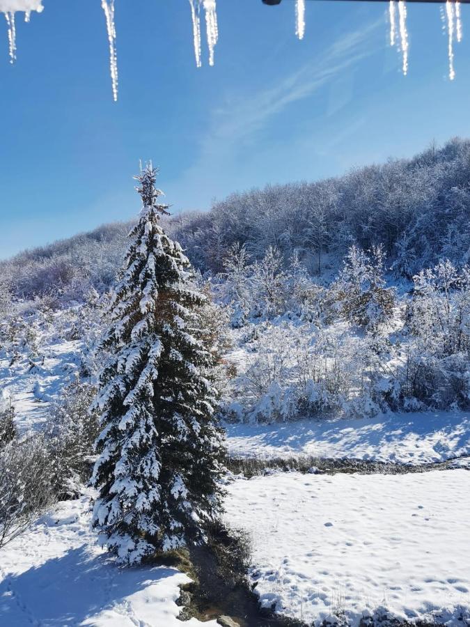 Apartman Sveti Rok Dış mekan fotoğraf